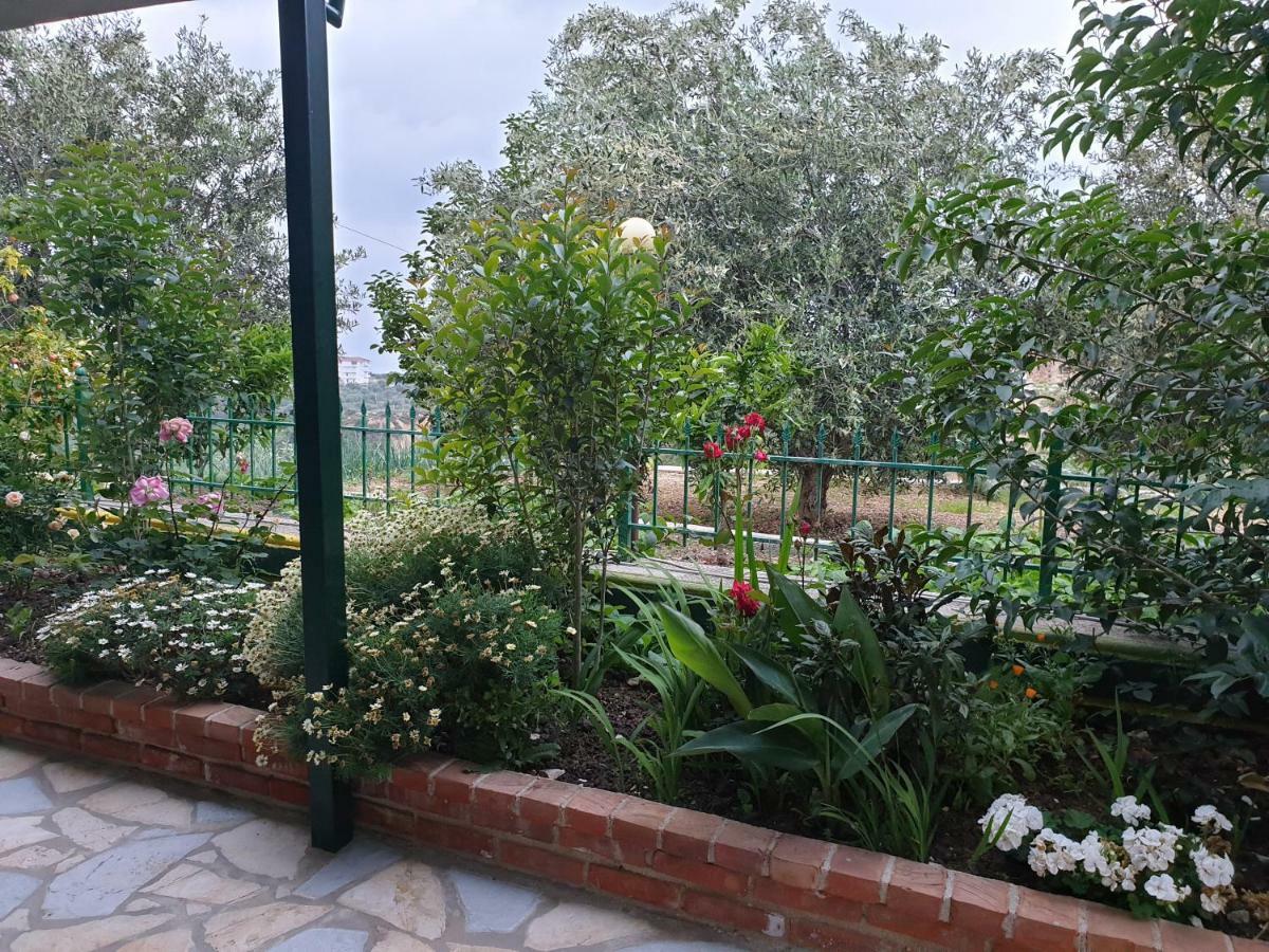Lukovë Hotel Lagjini מראה חיצוני תמונה